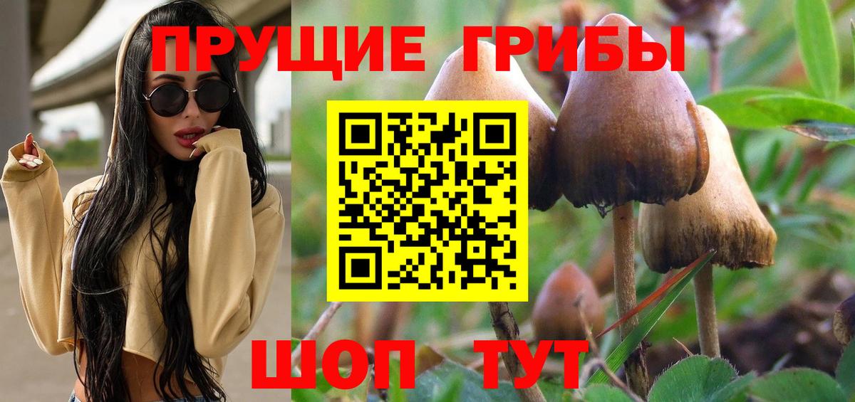 наркотики  Галлюциногенные грибы Cubensis  Вход с VPN  Чапаевск  Галлюциногенные грибы мухоморы 