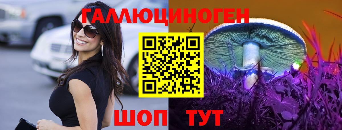 Галлюциногенные грибы Psilocybine cubensis Чапаевск